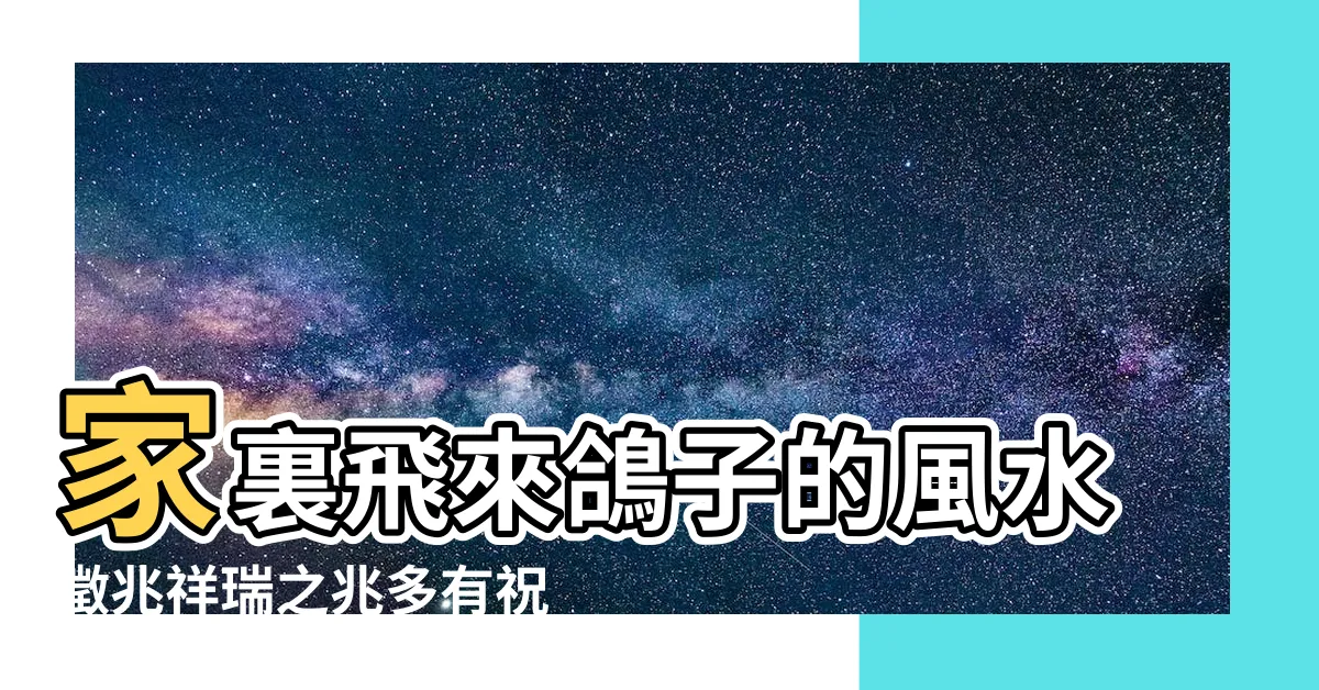 【鴿子飛來家裡號碼】家裏飛來鴿子的風水徵兆祥瑞之兆多有祝福 |夢境號碼解析結果 |閃亮大鴿子 |