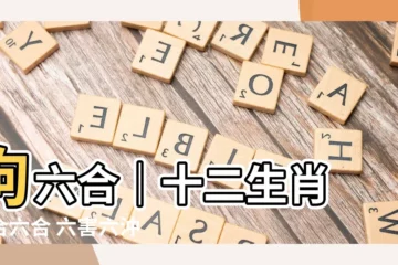 【狗六合】狗六合｜十二生肖 三合六合 六害六沖 精彩配對貴人相助！