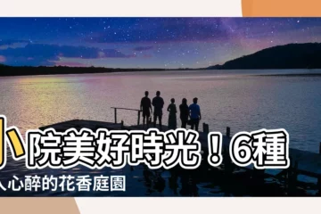 【好看的樹】小院美好時光！6種令人心醉的花香庭園樹
