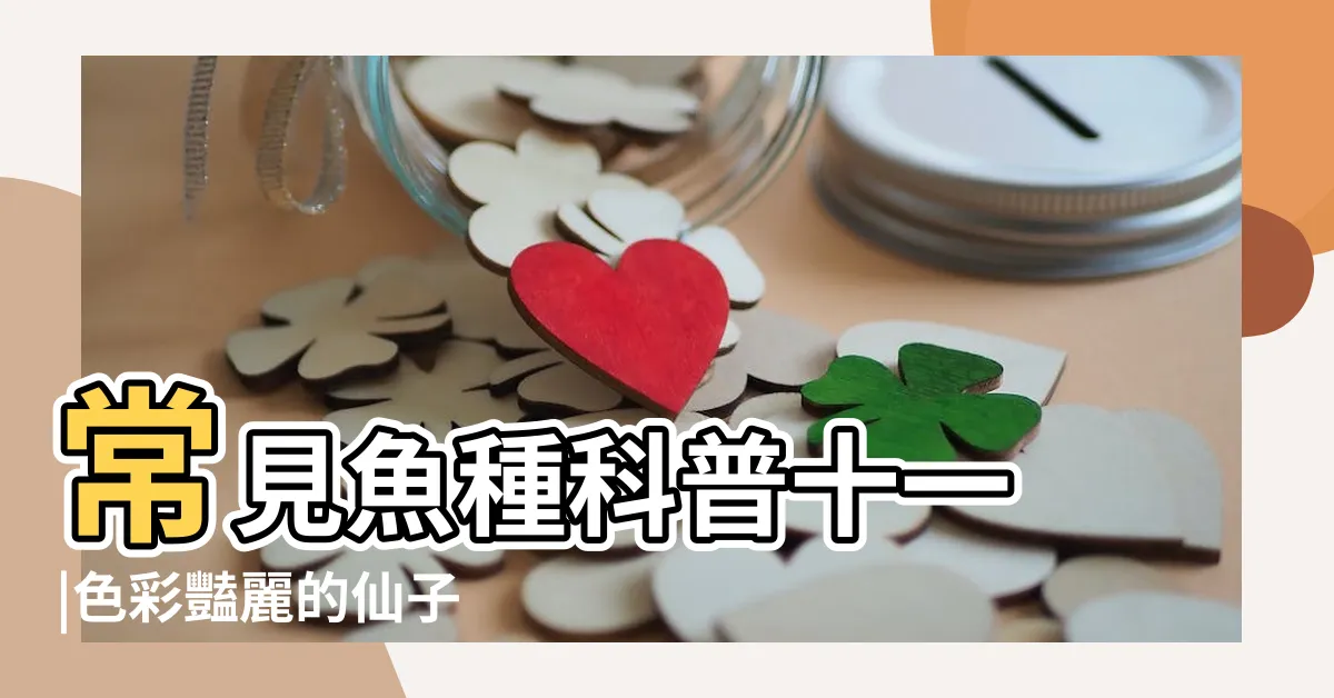 【神仙魚種類】常見魚種科普十一 |色彩豔麗的仙子 |神仙魚詳細分類介紹 |