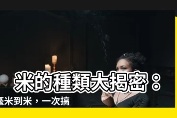 【米的】 米的種類大揭密：由毫米到米，一次搞懂！