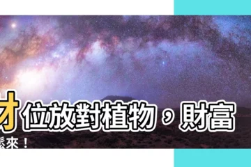 【財位放植物】財位放對植物，財富輕鬆來！