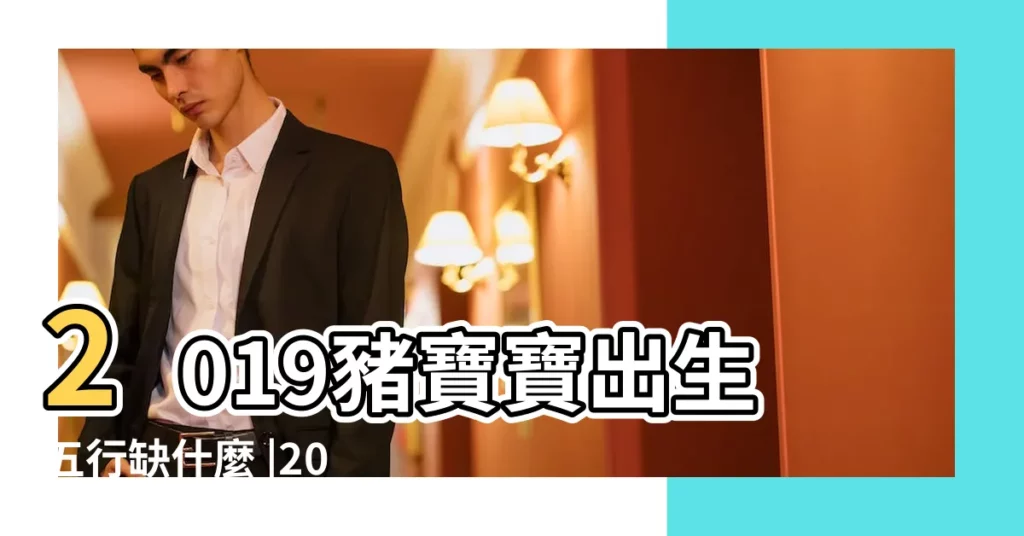 2019豬寶寶出生五行缺什麼 |2019豬年五行屬什麼 |2019年出生的豬寶寶五行缺什麼2019年豬寶寶是什麼命 |【2019豬寶寶五行什麼命】