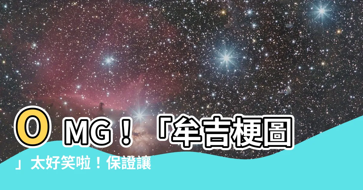 【牟吉梗圖】OMG！「牟吉梗圖」太好笑啦！保證讓你笑到併軌