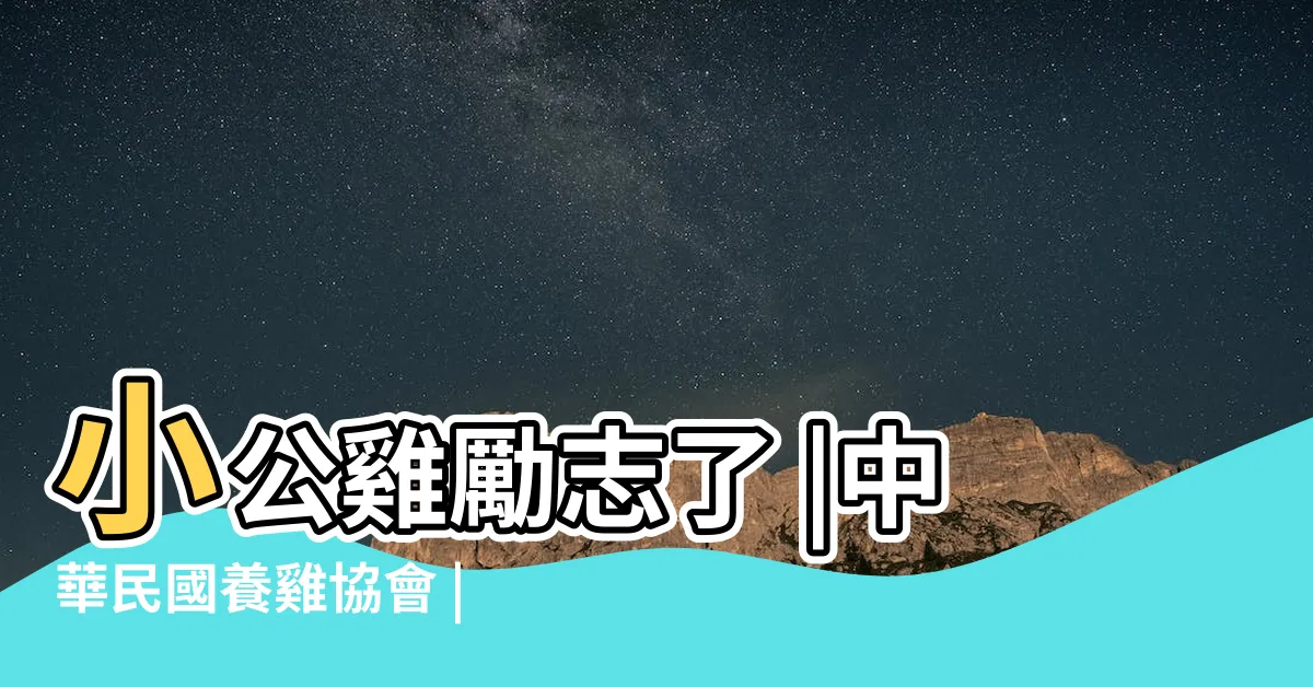 【雞會】小公雞勵志了 |中華民國養雞協會 |為了迎娶白富美 |