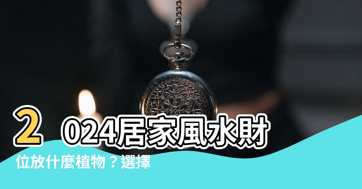 【財位放什麼植物】2024居家風水財位放什麼植物？選擇這些室內盆栽招財又美觀！