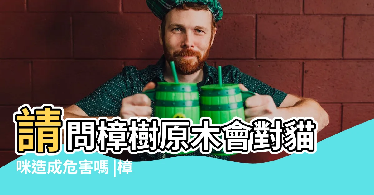 【樟樹有毒嗎】請問樟樹原木會對貓咪造成危害嗎 |樟樹問題 |