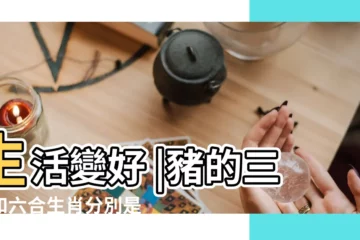 【三合貴人屬豬】生活變好 |豬的三合和六合生肖分別是什麼屬豬人適合婚配的生肖 |何謂三合六合 |