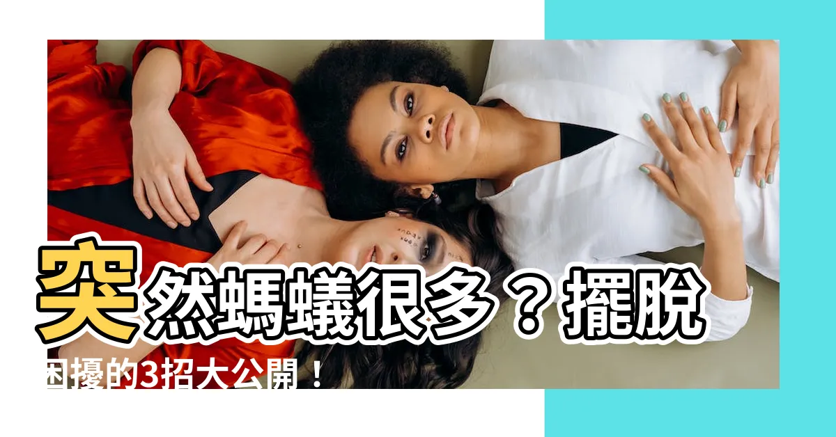 【突然螞蟻很多】突然螞蟻很多？擺脱困擾的3招大公開！