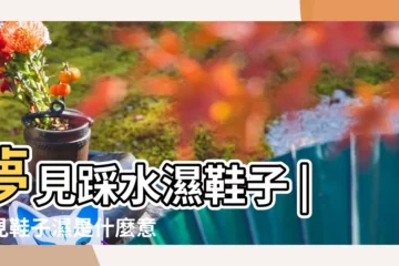 【夢見鞋子濕了 會遇到很大的危險】夢見踩水濕鞋子 |夢見鞋子濕是什麼意思 |夢見水濕鞋子 |