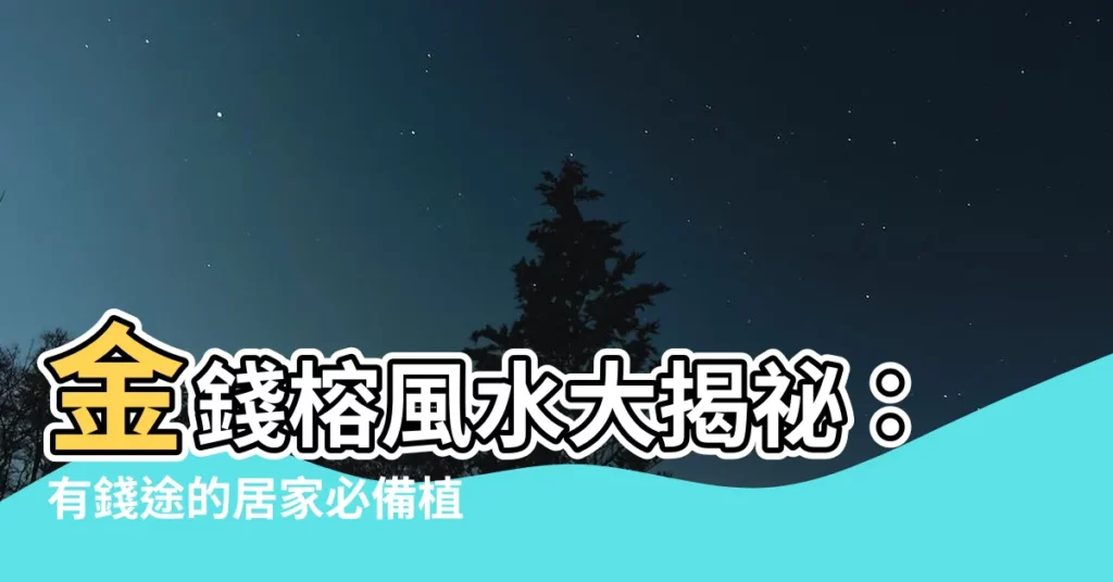 【金錢榕風水】金錢榕風水大揭秘：有錢途的居家必備植物