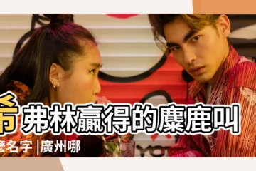 【2019年1月17日生該取什麼名】希弗林贏得的麋鹿叫什麼名字 |廣州哪裏有洋妞全套服務 |有何寓意 |