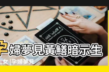 【孕婦夢見鱔魚是生女孩嗎】孕婦夢見黃鱔暗示生男生女 |孕婦夢見鱔魚好不好 |孕婦夢見鱔魚 |