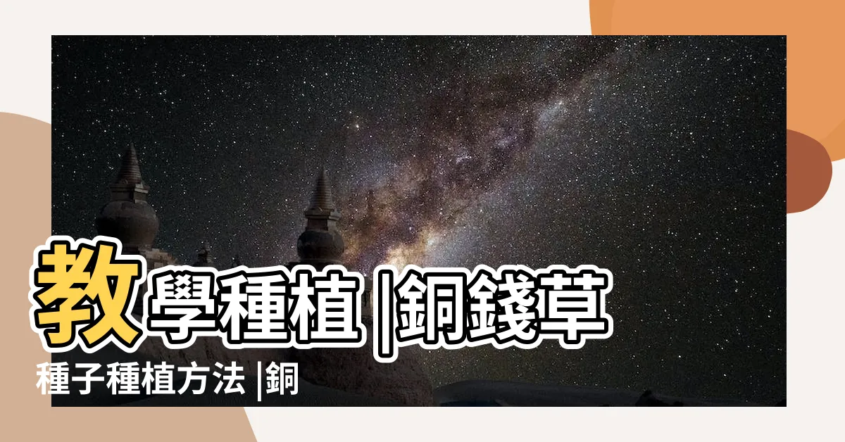 【銅錢草種子種植】教學種植 |銅錢草種子種植方法 |銅錢草種子怎麼種 |