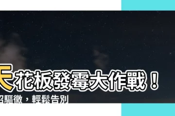 【天花板發黴處理方法】天花板發黴大作戰！一招驅黴，輕鬆告別惱人黑垢