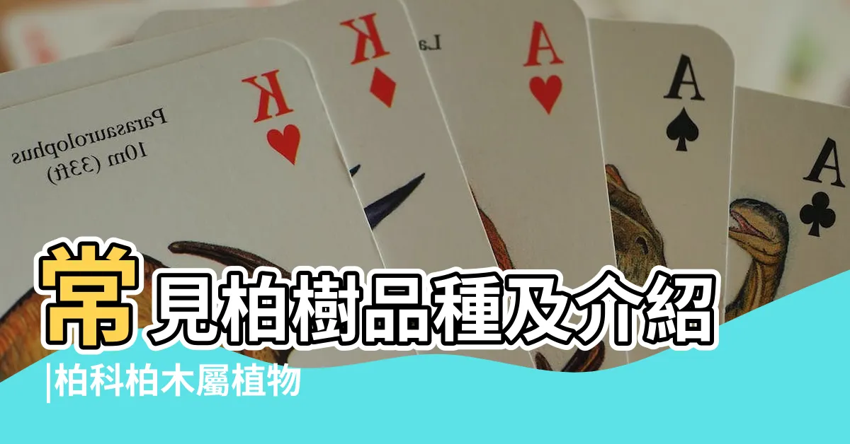 【柏類樹有哪些】常見柏樹品種及介紹 |柏科柏木屬植物 |柏樹的種類有哪些 |