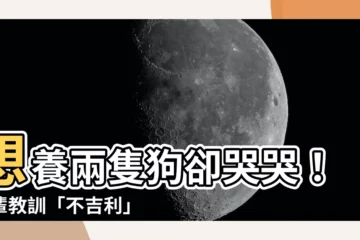 【兩隻狗 哭】想養兩隻狗卻哭哭！長輩教訓「不吉利」 網友神解析