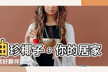 【袖珍 椰子】袖珍椰子，你的居家綠意好夥伴！