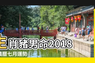 【屬豬7月份運勢2018男的】生肖豬男命2018年農曆七月運勢 |2018年七月屬豬什麼運最好 |2018年七月屬豬如何提升貴人運 |