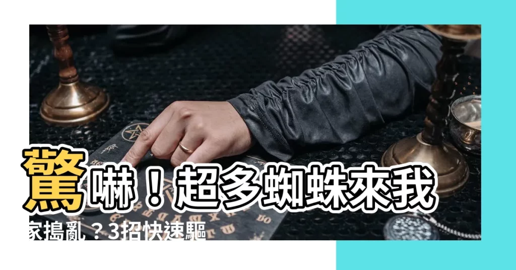 【蜘蛛很多】驚嚇！超多蜘蛛來我家搗亂？3招快速驅離趕盡殺絕！