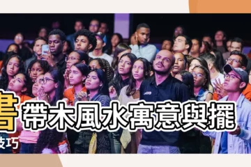 【書帶木寓意】書帶木風水寓意與擺設技巧