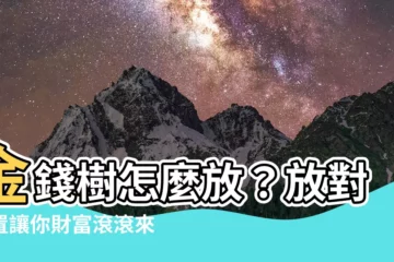 【金錢樹放哪裡】金錢樹怎麼放？放對位置讓你財富滾滾來