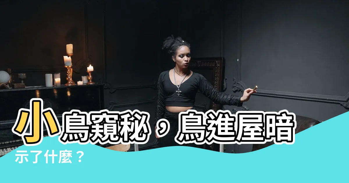 【鳥進】小鳥窺秘，鳥進屋暗示了什麼？