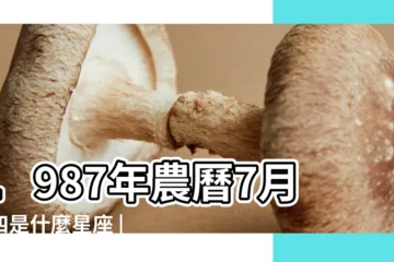【1987年農曆7月初4什麼星座是什麼】1987年農曆7月初四是什麼星座 |1987年農曆7月初4午時屬什麼星座 |陽曆是幾號 |
