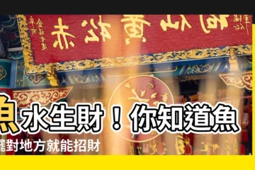 【養魚 招財】魚水生財！你知道魚缸擺對地方就能招財嗎？
