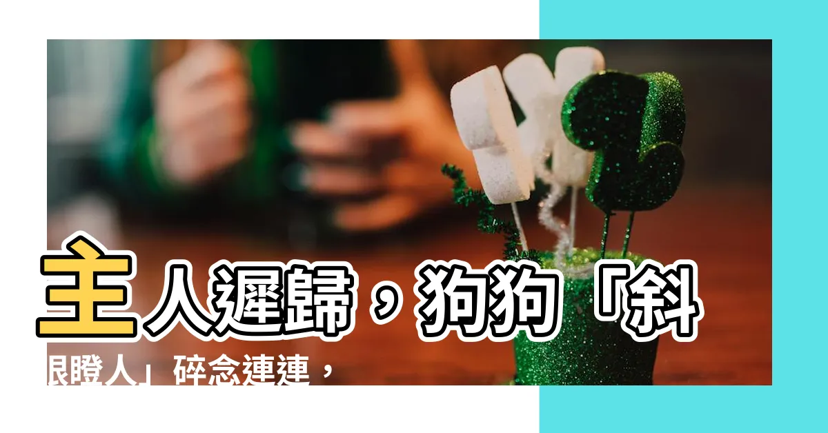 【斜眼瞪人】主人遲歸，狗狗「斜眼瞪人」碎念連連，眼神透露牠內心的：
