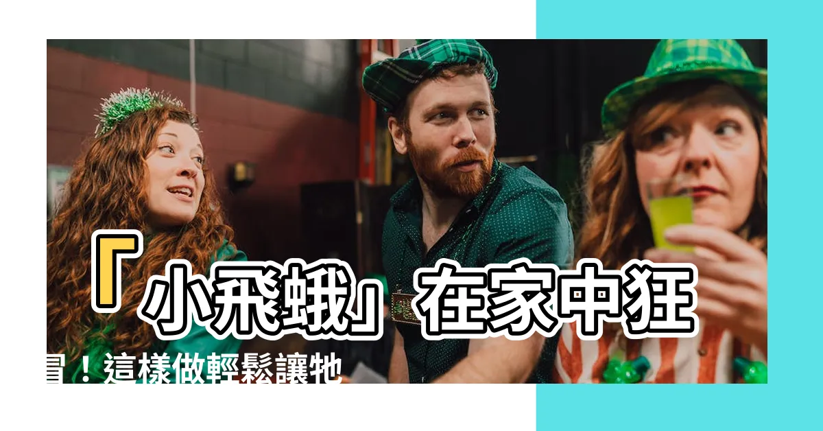 【小飛蛾 家中】「小飛蛾」在家中狂冒！這樣做輕鬆讓牠們消失