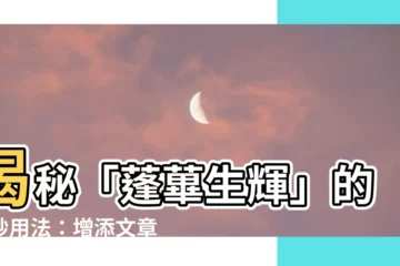 【蓬蓽生輝用法】揭秘「蓬蓽生輝」的巧妙用法：增添文章色彩與亮點