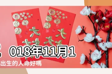 【2018年11月17日屬性】2018年11月17日出生的人命好嗎 |是什麼命 |2018年11月17日八字五行排盤 |