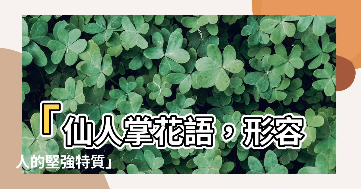 【仙人掌形容一個人】「仙人掌花語，形容人的堅強特質」