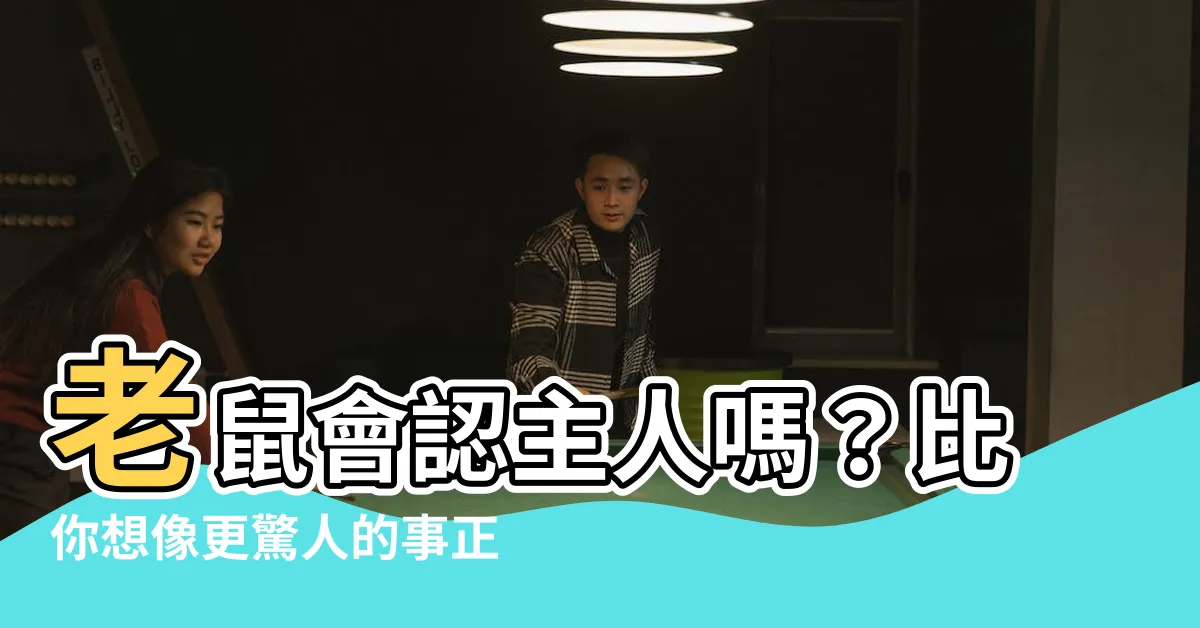 【老鼠會認主人嗎】老鼠會認主人嗎？比你想像更驚人的事正在發生！