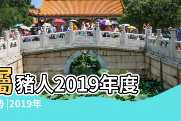【2019出生屬豬的運勢和財運】屬豬人2019年度運勢 |2019年屬豬人2023年運勢及運程 |19年出生屬豬人一生運勢如何 |