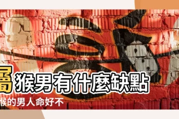【生肖屬猴的男性】屬猴男有什麼缺點 |屬猴的男人命好不好 |屬猴的男人太可怕了 |