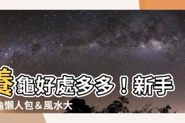 【養龜好處】養龜好處多多！新手養龜懶人包＆風水大公開