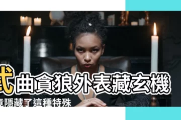 【武曲貪狼外表】武曲貪狼外表藏玄機，竟隱藏了這種特殊氣質！
