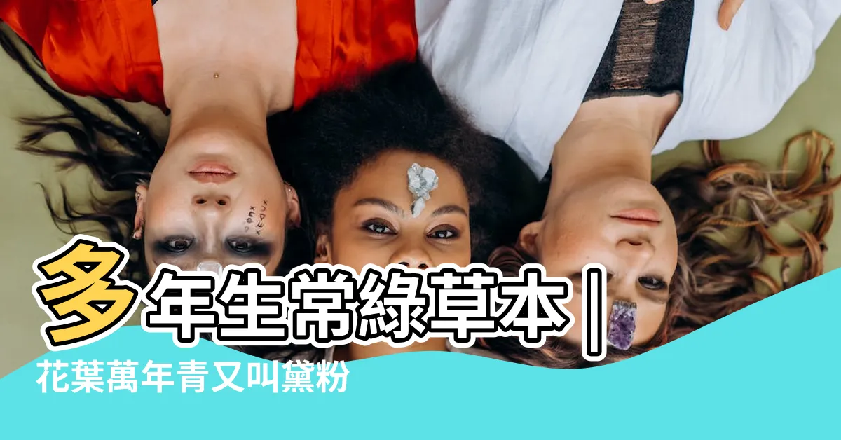 【黛粉葉風水】多年生常綠草本 |花葉萬年青又叫黛粉葉 |植物與風水 |