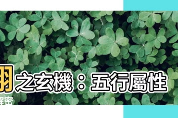 【翔 五行】翔之玄機：五行屬性大解密