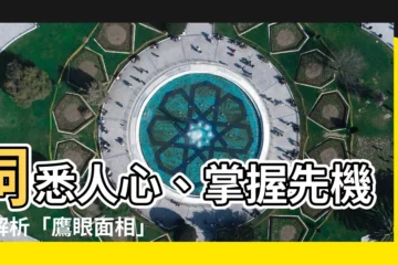 【鷹眼面相】洞悉人心、掌握先機！解析「鷹眼面相」的秘密圖解