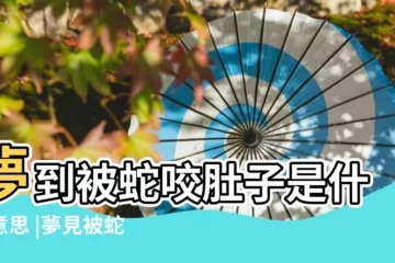 【已婚女夢見蛇咬肚子】夢到被蛇咬肚子是什麼意思 |夢見被蛇咬到肚子 |否極泰來樂活天空 |