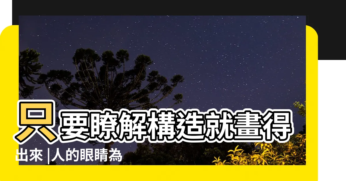 【眼睛位置】只要瞭解構造就畫得出來 |人的眼睛為什麼長在正面 |雙眼的立體感與表情 |