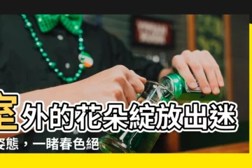 【室外的花朵】室外的花朵綻放出迷人姿態，一睹春色絕美盛宴！