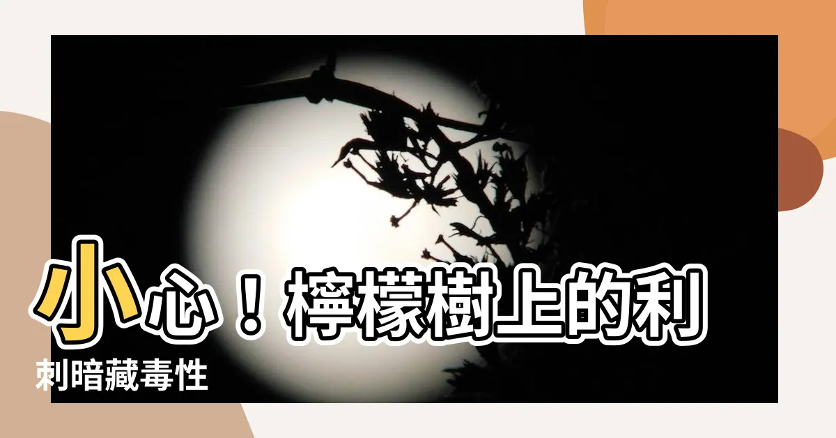 【檸檬樹刺有毒】小心！檸檬樹上的利刺暗藏毒性