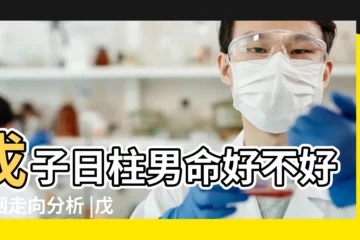 【戊子日柱男命好嗎】戊子日柱男命好不好婚姻走向分析 |戊子日生男 |戊子日柱男命詳解 |