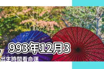 【1993年12月31日命運】1993年12月31日出生時間看命運 |1993年12月31日出生的人命好嗎 |是什麼命 |