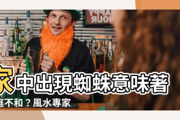 【家中出現蜘蛛】家中出現蜘蛛意味著家庭不和？風水專家揭秘背後驚人寓意