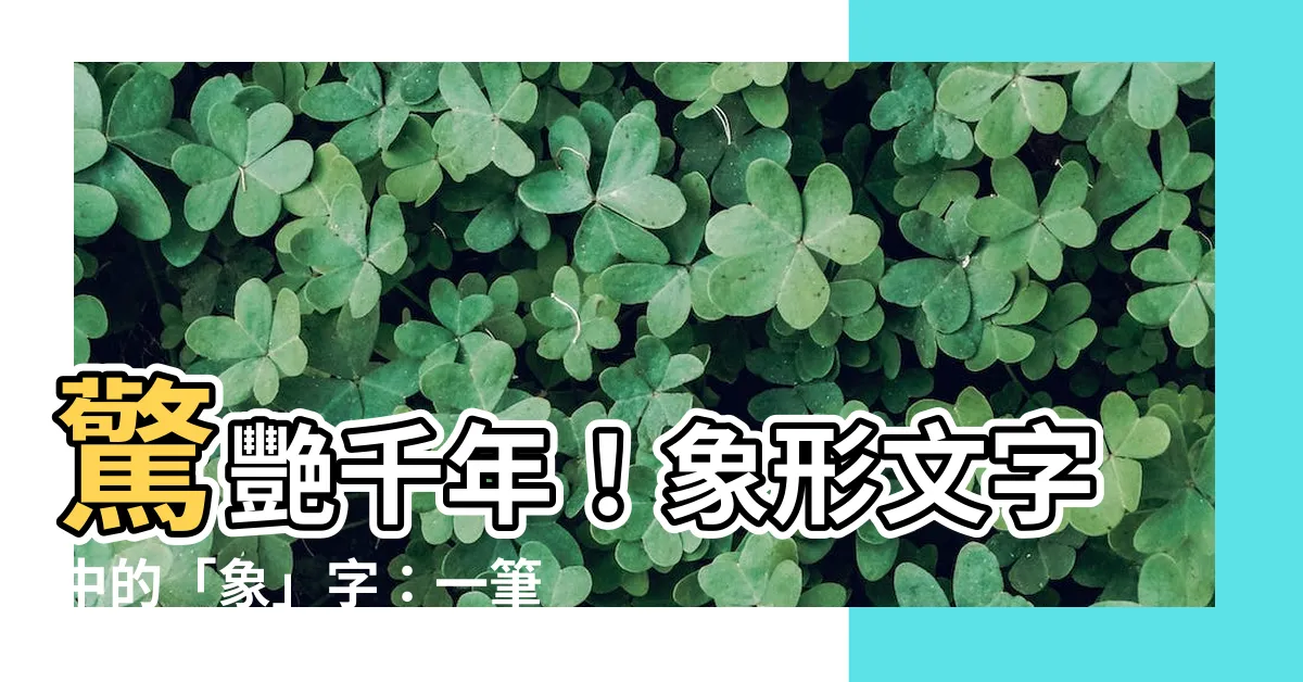 【象字】驚艷千年！象形文字中的「象」字：一筆一劃揭開漢字之美